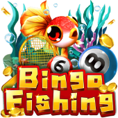 Bingo Fishing on Bigwinlink